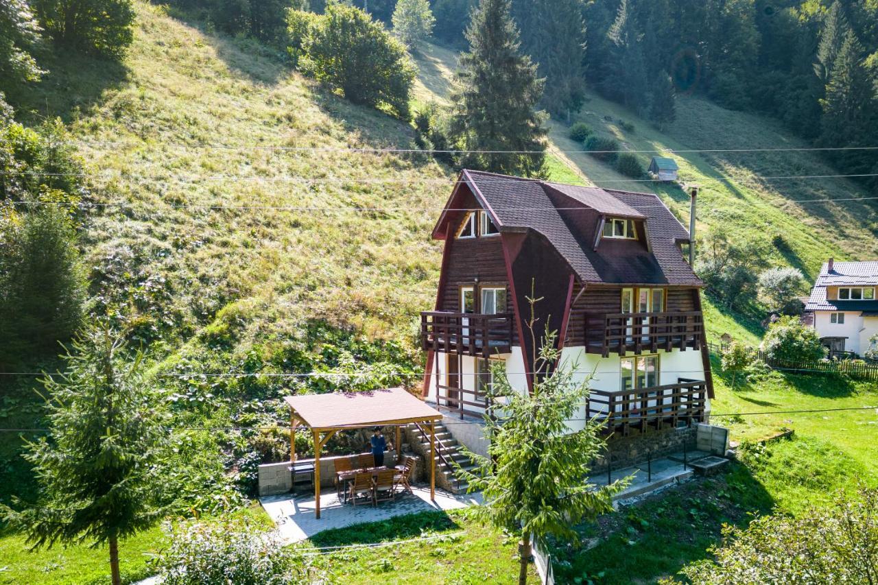 Oasis Mountain Villa Brašov Exteriér fotografie